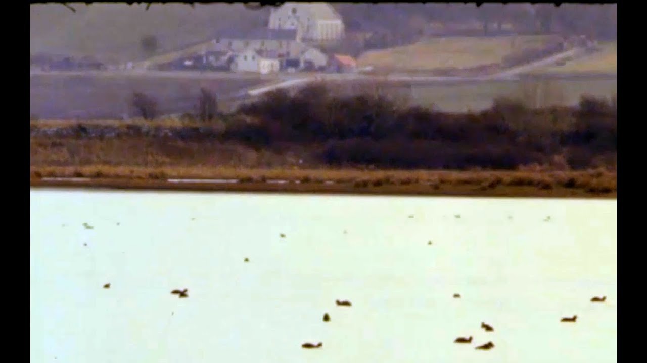Inch Island & The Grian&aacute;n Estate: Donegal - 1982