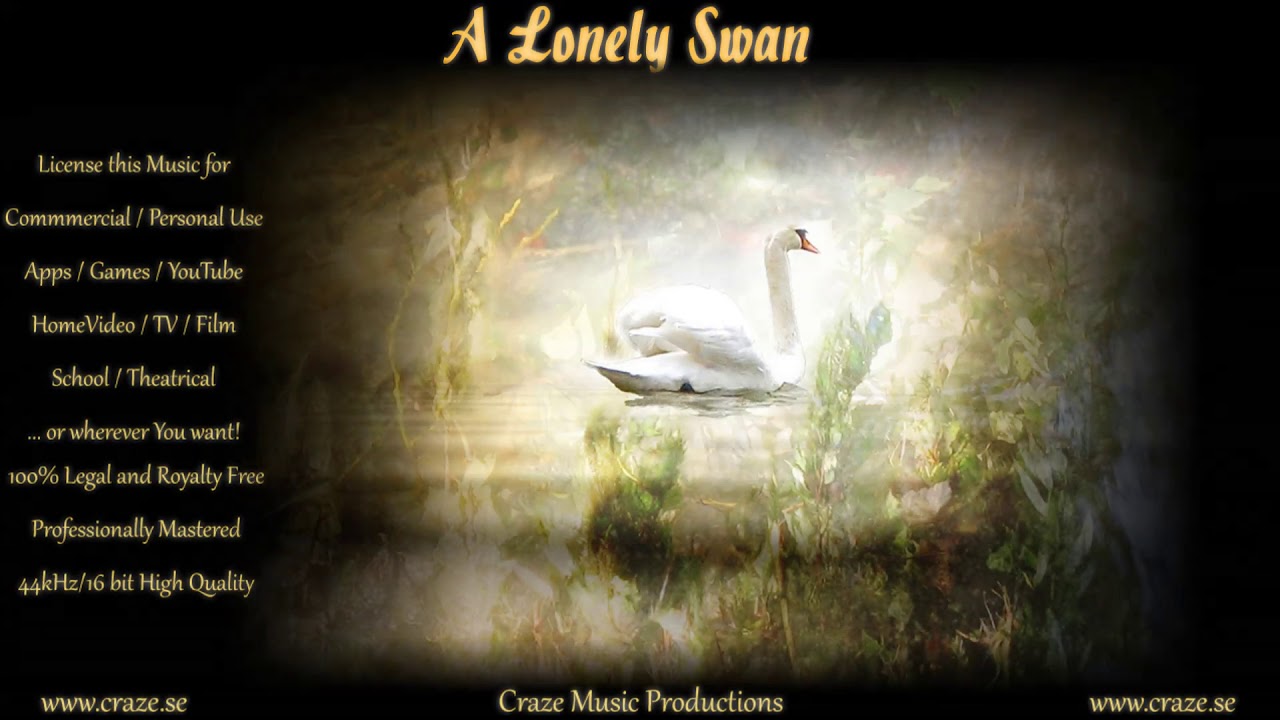 A Lonely Swan - Romantic Calm Beautiful - Craze Music