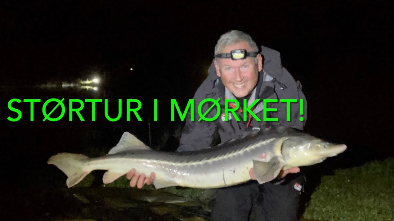 Stør i mørket!