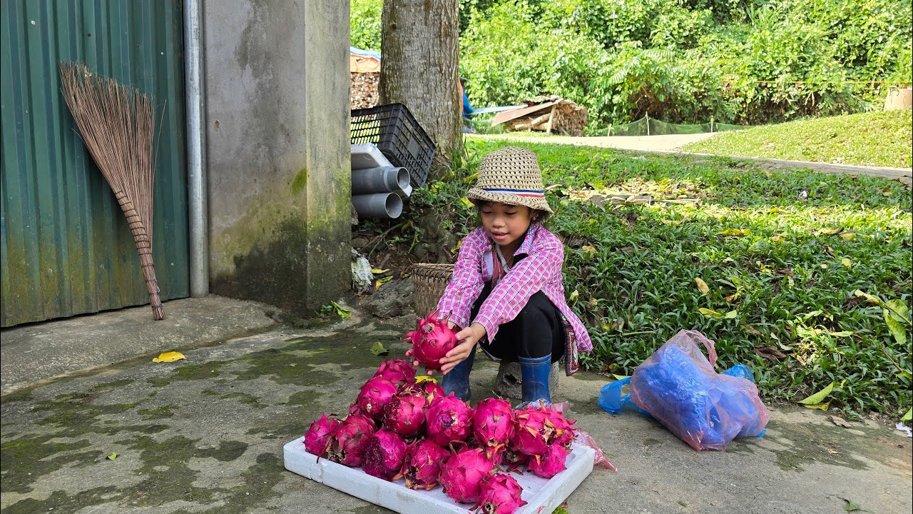 FULL VIDEO: The life of an orphan, living in his own home, making a living by selling fresh fruit