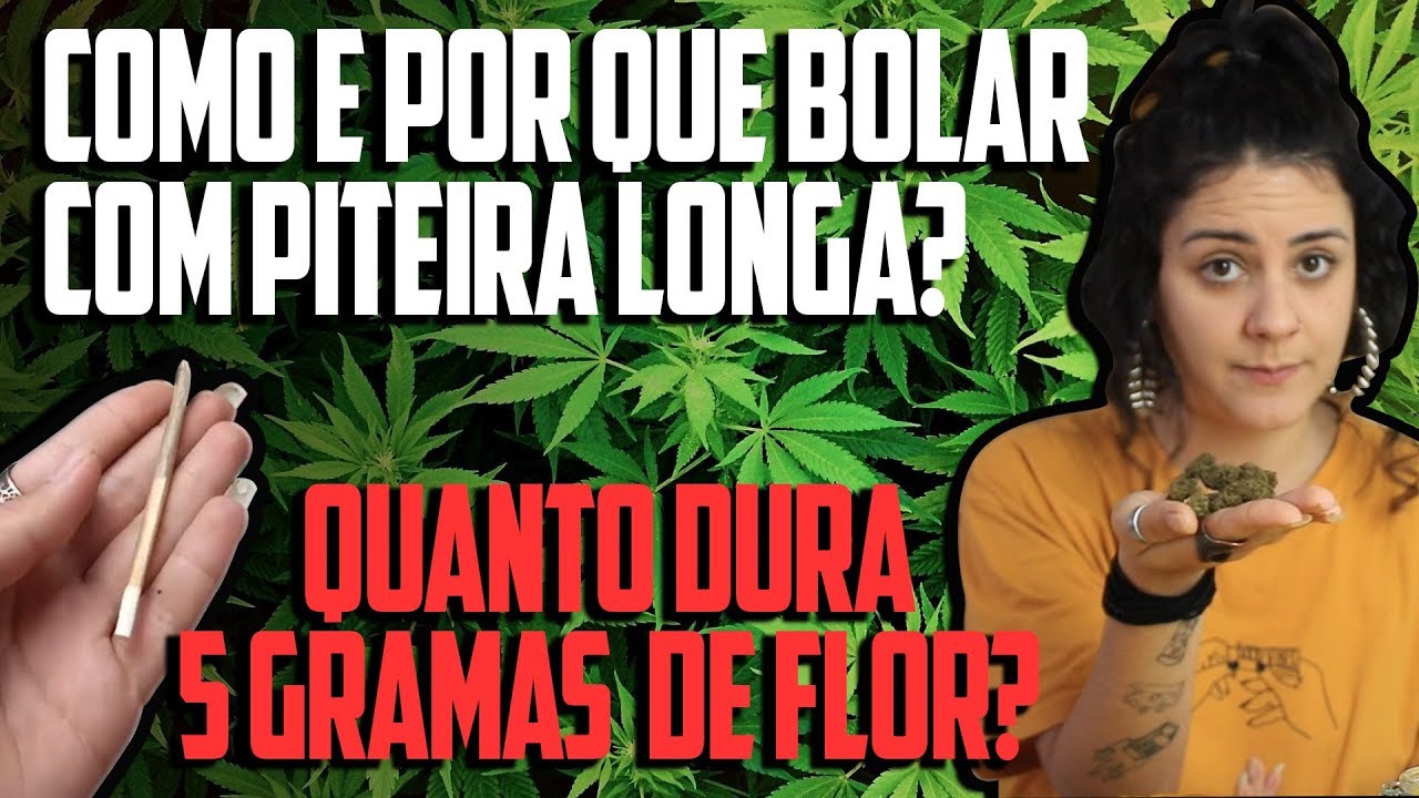 QUANTOS BECKS D&Aacute; PRA FAZER COM 5G DE FLOR? COMO BOLAR COM PITEIRA LONGA?