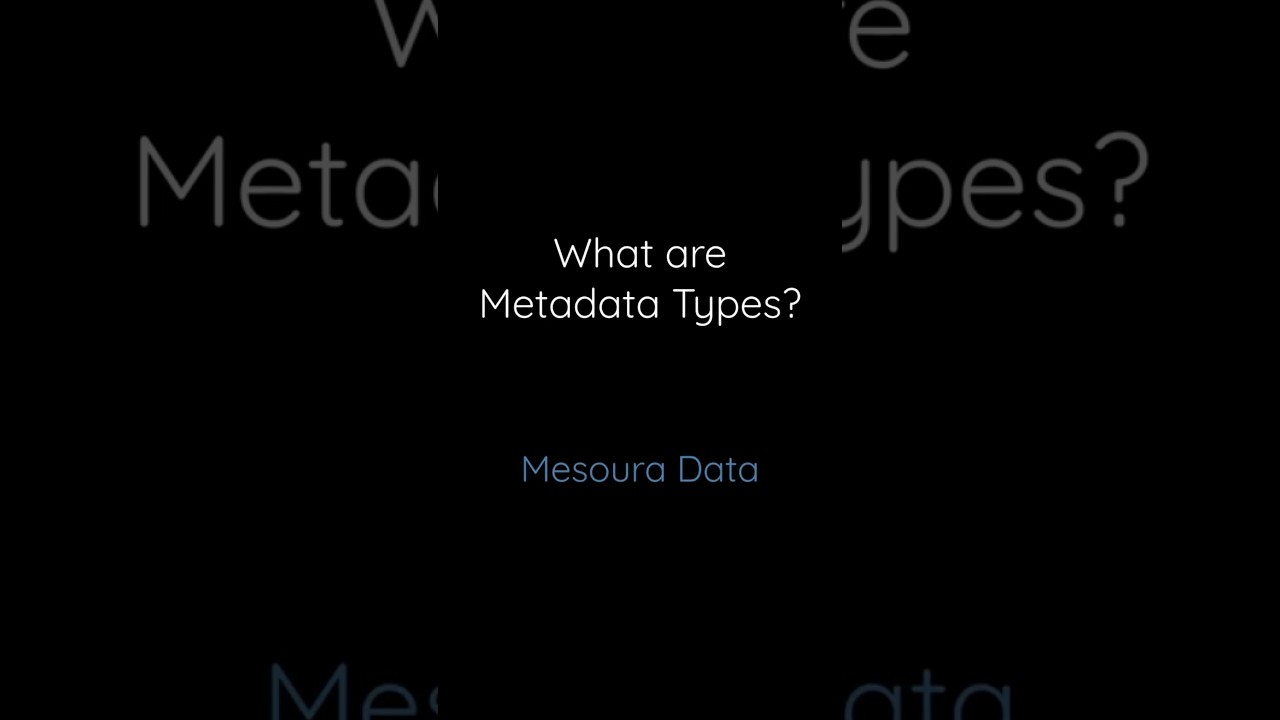 What Are Metadata Types?