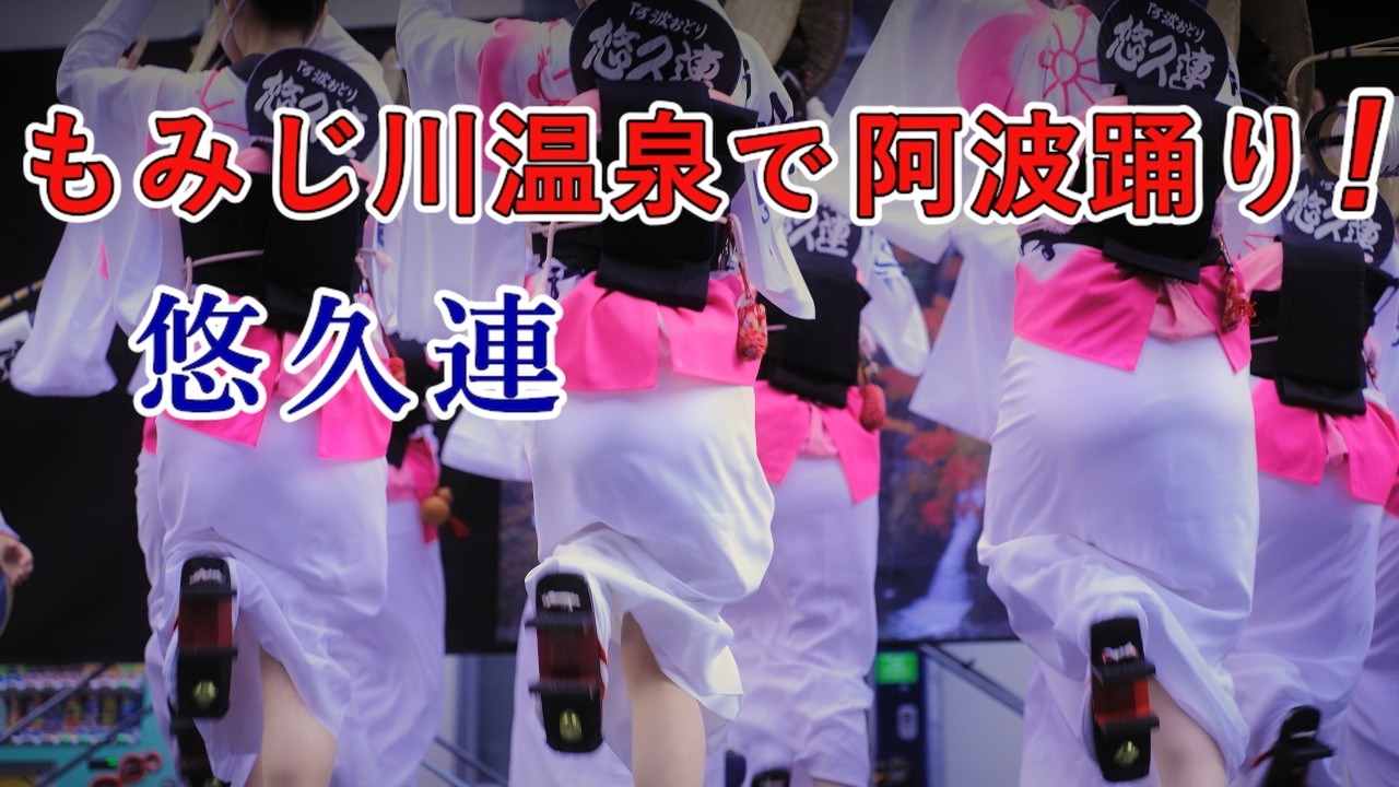 【阿波踊り2024】秋に行われる阿波おどり　もみじまつり　悠久連　もみじ川温泉