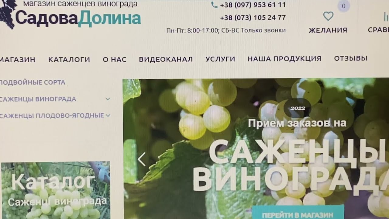 Подвойные сорта винограда Кобер 5бб, Добриня, Андрос, Телеки 5ц, Виерул 3, Презент, Гарант.