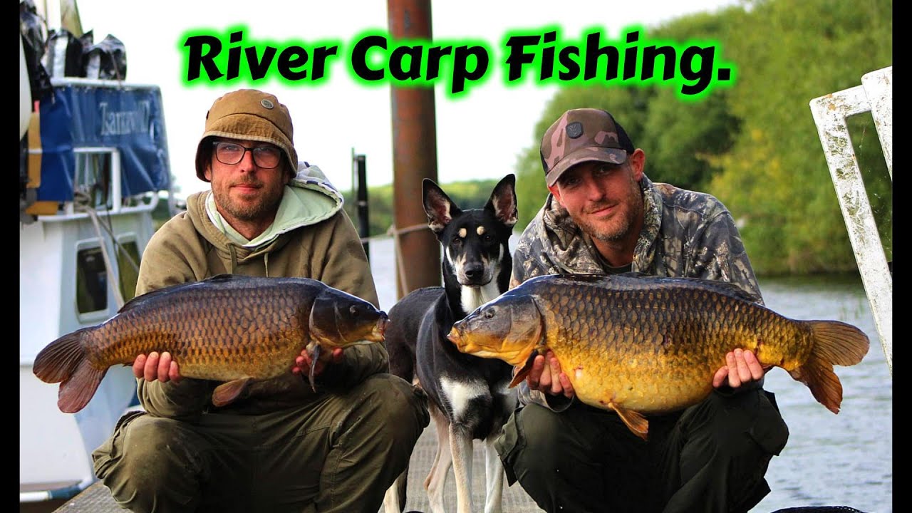 River Carp Fishing. New Boat RECORD! & 40LB Brace. River Trent. EP 21.
