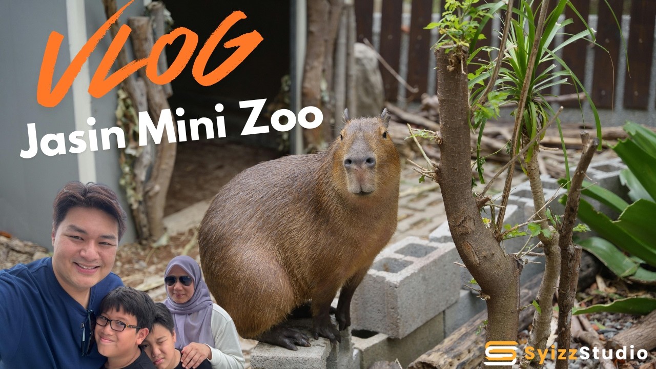 VLOG | Zoo Mini Jasin, Melaka! Jumpa Capybara & Pony 🦫🐴!