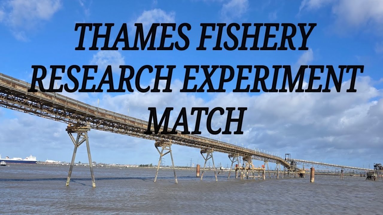 FISHING THE THAMES FISHERY RESEARCH EXPERIMENT MATCH IN GRAVESEND 2025
