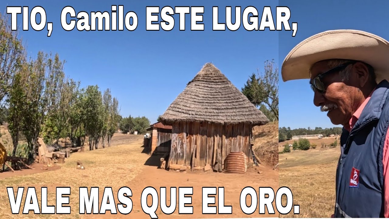 VIVIMOS muy felices  AQUÍ HAY DE TODO... familia oaxaqueña, historia...