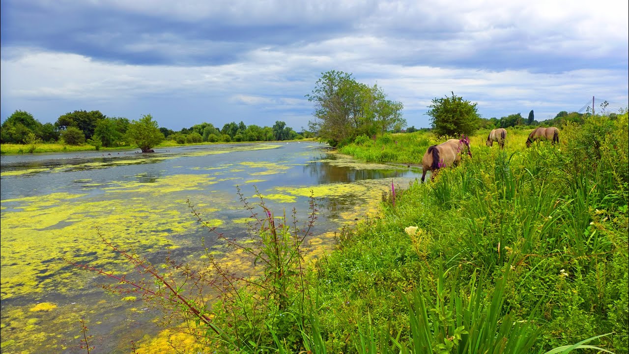 Wandelen in de Maasvallei vanaf Kanne, via Eijsden naar Maastricht en terug