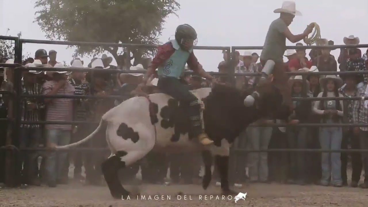 Toro chespirito vs duende del ranchito  zinzimacato grande 