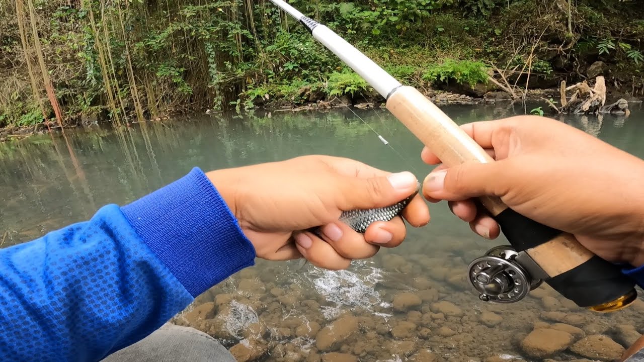 TES JORAN MINI STREAM WING 360 || DAPAT BANYAK IKAN
