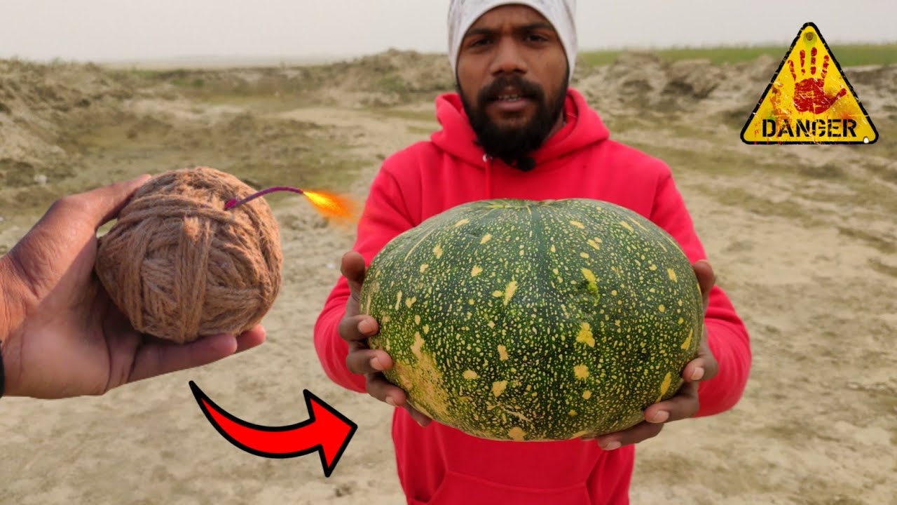 Pumpkin Vs Biggest Sutli Bomb