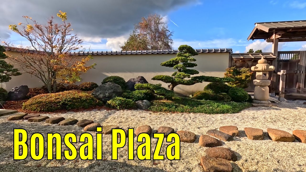 Bonsai Plaza 2025-11 long version