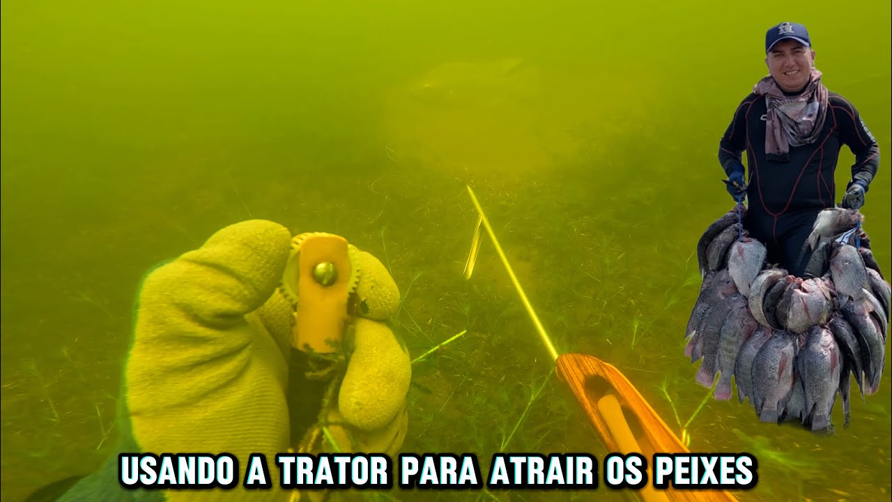 Pesca Sub : atraindo os peixes com a trator sonoro 