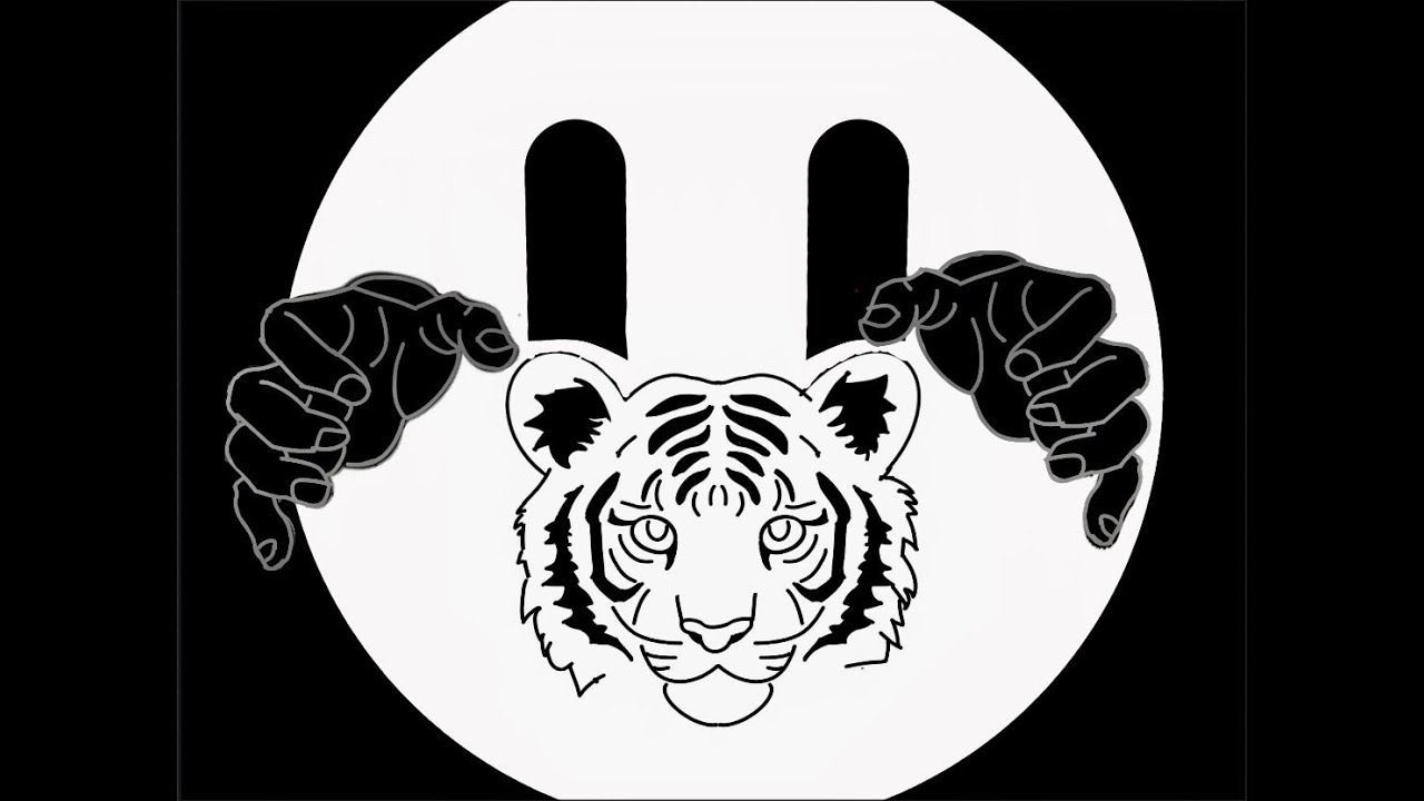 I tried drawing a White Tiger in Procreate [follow along]