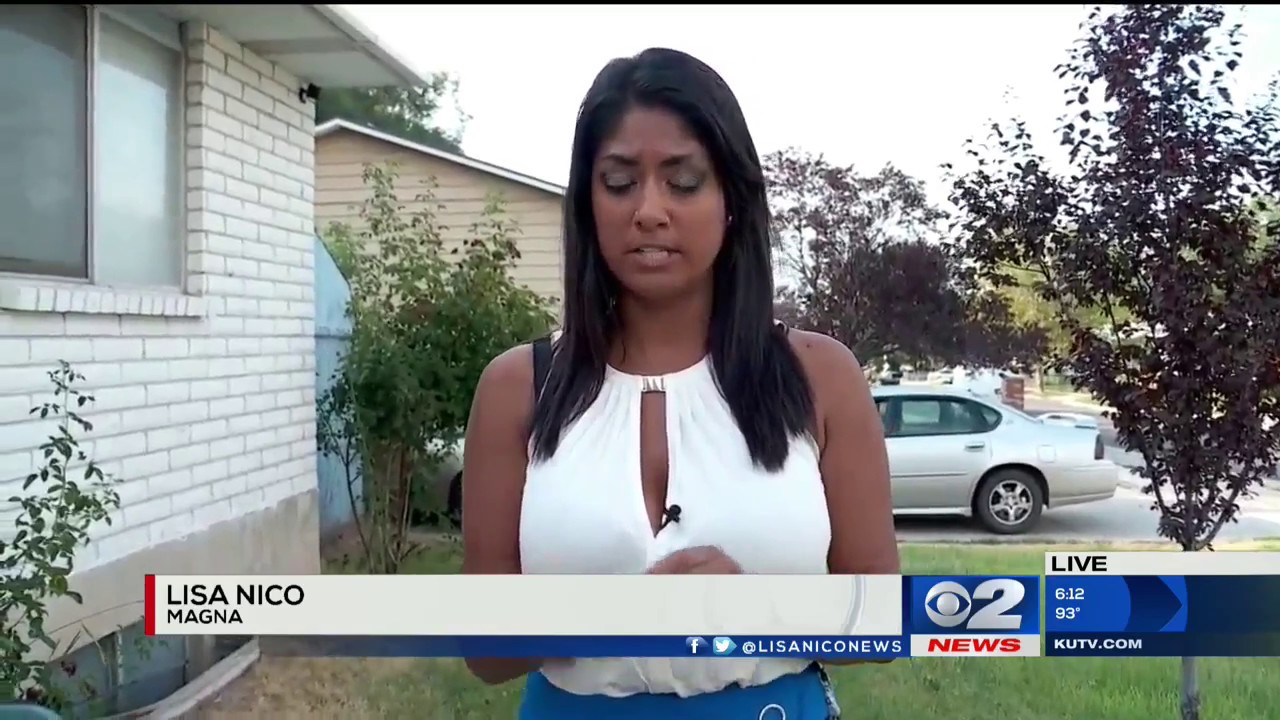 Elm Seed Bugs Spreading Across Utah KUTV | Beeline Pest Control