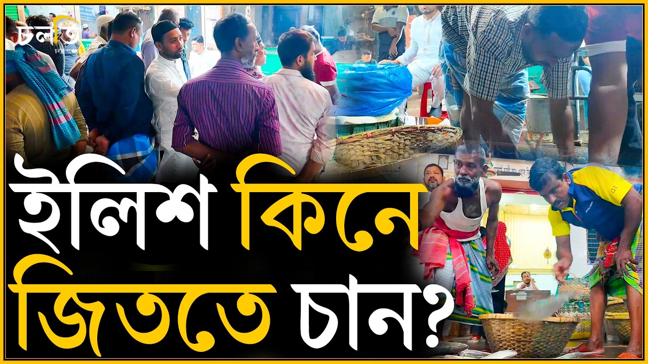 টেম্পু ইলিশ? এটা আবার কি? | চলতি