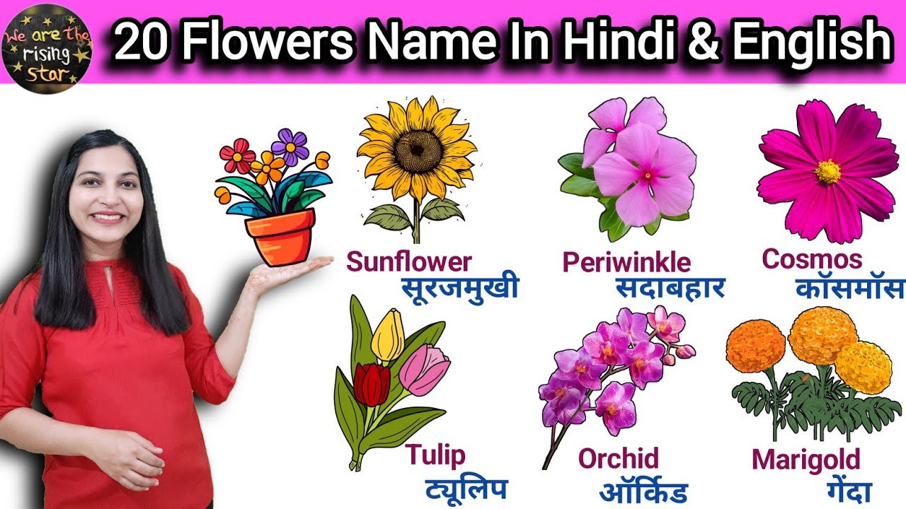 20 flowers name in Hindi and English | फूलों के नाम  | WATRstar #flowersforkids