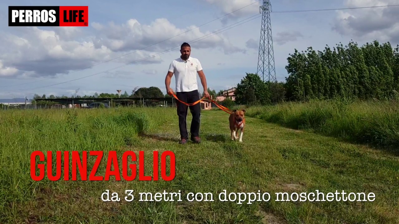 Guinzaglio da 3 metri con doppio moschettone Perros Life