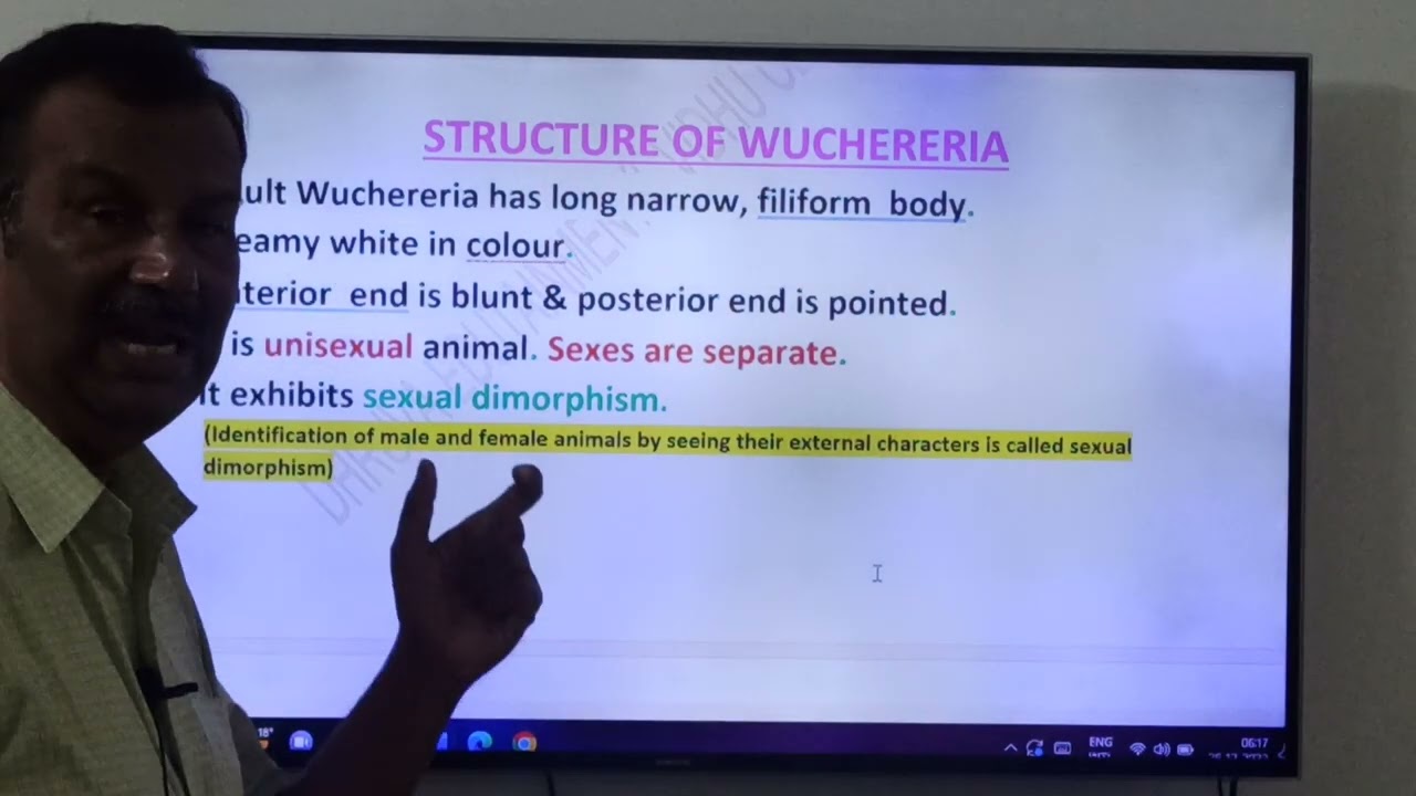 267:Wuchereria bancrofti: Жизненный цикл:LQ:JRs:Unit Vi:Биология в сфере благосостояния человека.