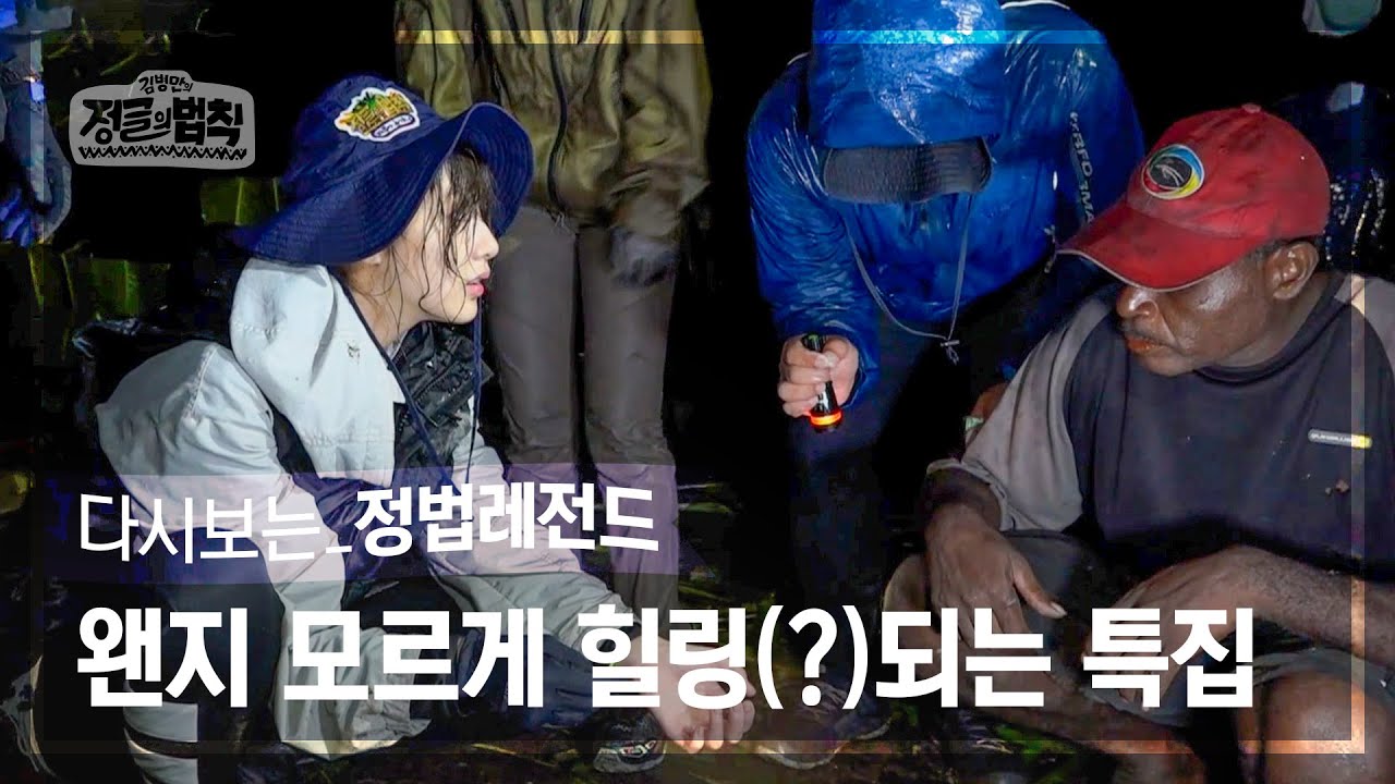 [정법레전드🏆] 그냥 평범한 장면인데도 왠지 웃겨요 [정글의법칙 | SBS 160506 방송]
