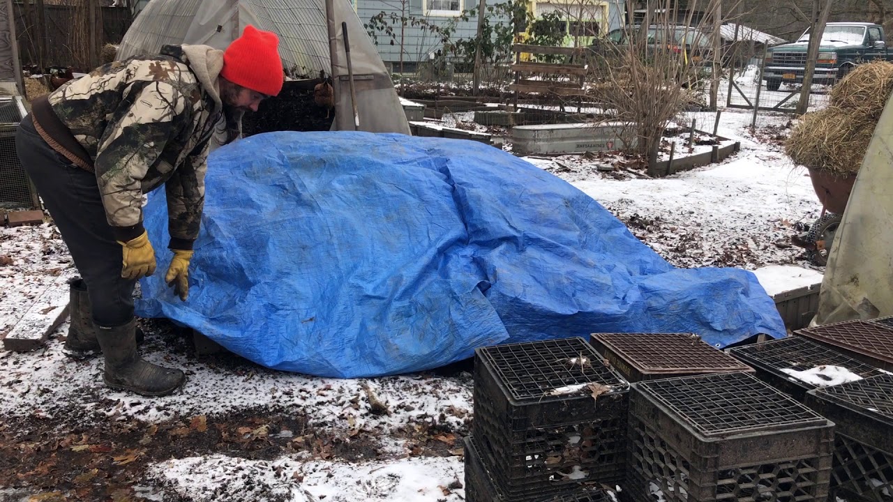 Insulating Compost for Winter