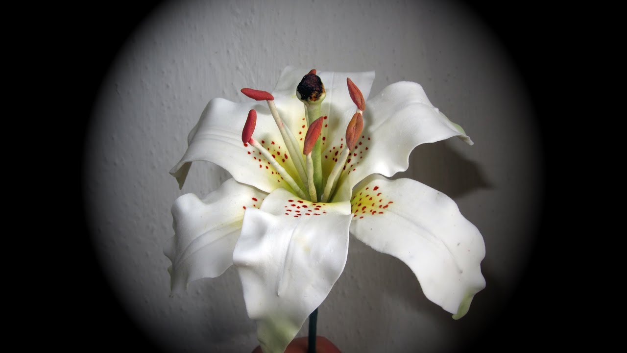 Fiori in pasta di zucchero: Gum paste Giglio/Lilium-Le Torte Di Marta-Il Giglio-Pistilli Parte1
