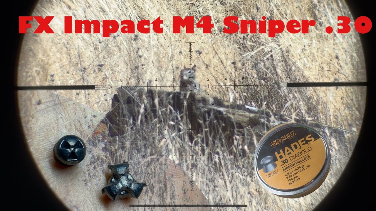JSB Hades (.30), best hunting pellet in the world?? California Ground squirrel hunt 