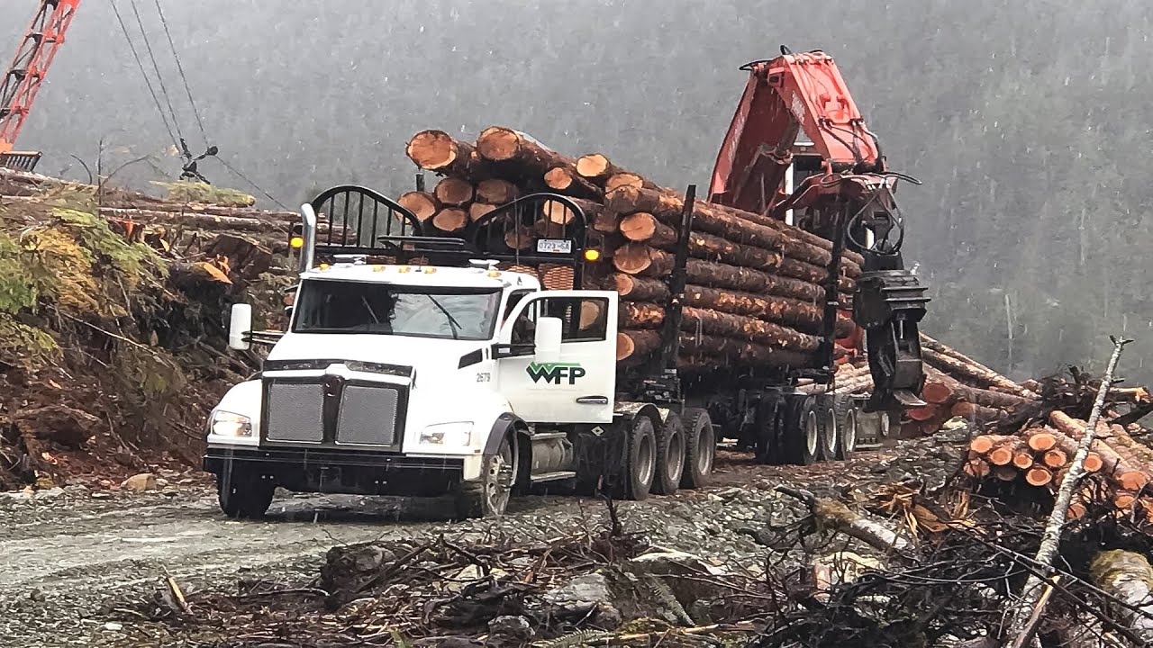 Amazing Dangerous Biggest Logging Truck Operator Skill. Fastest Wood Sawmill Machine Working