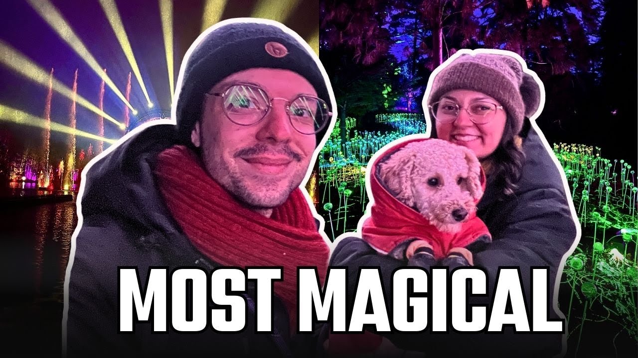 We Visited Illumina Laxenburg ✨ Europe’s Most Magical Christmas Light Show | Vlogmas Day 2 🌲