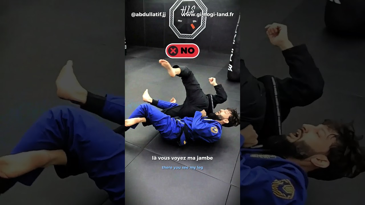 BJJ JJB - Berimbolo with Twister hook - Berimbolo avec Twister hook