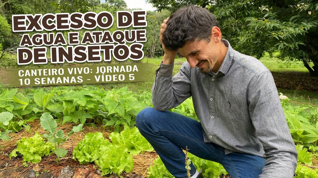 Semana 5 — Chuva no Canteiro Vivo: cobertura, infiltração e pressão de pragas