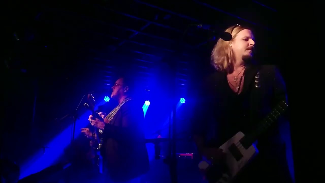 Dingo - Lähetyssaarnaaja (Ilona, Tampere) 19/12/2025