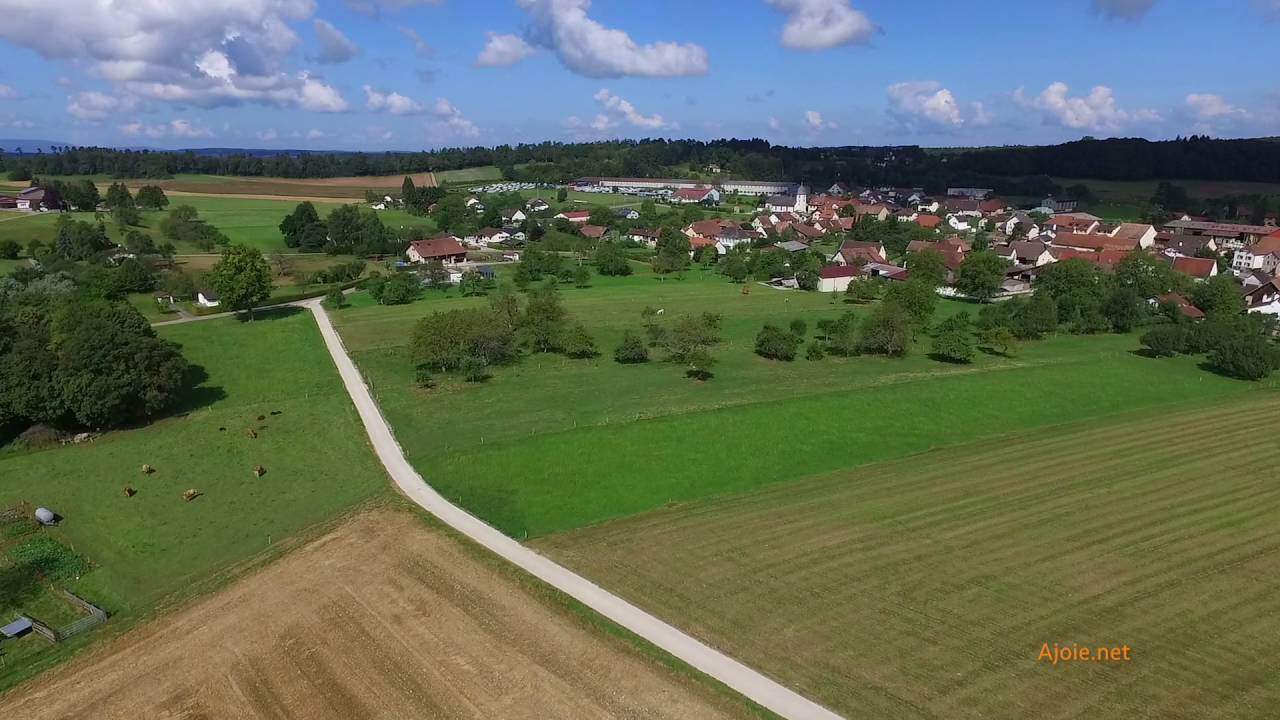 Le village de Fahy et ses tournesols