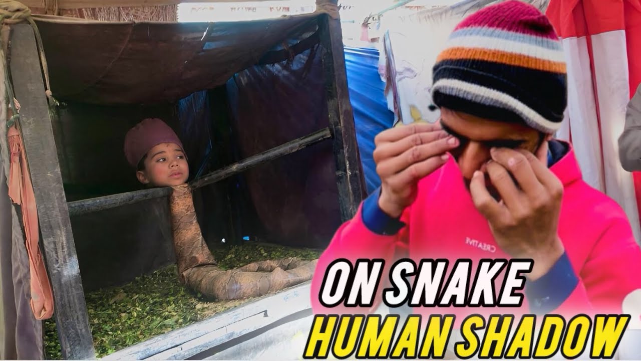 Human shadow on shake 🫨 mela noor shah /full village 2026