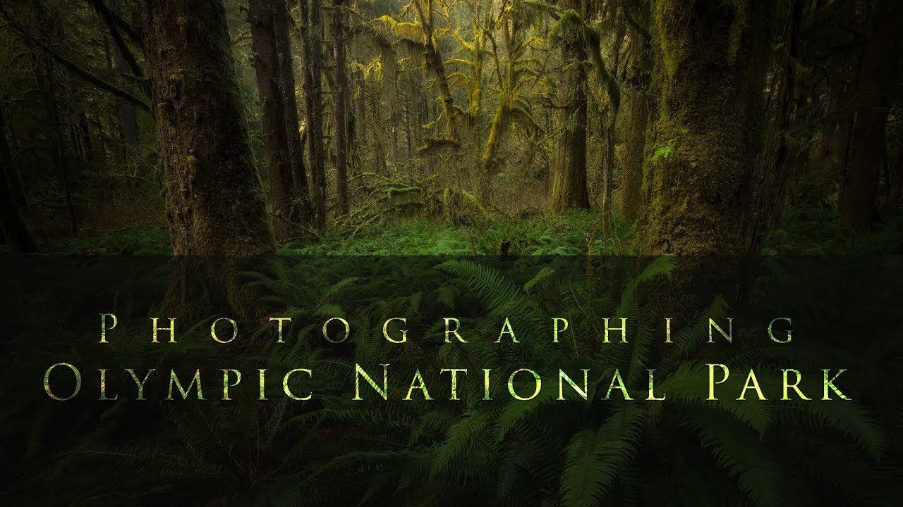 Photographing Olympic National Park.  Photographing Less of the Mess