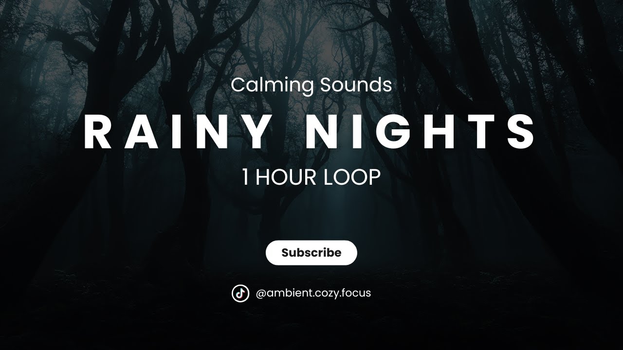 Cozy Ambient Rainy Nights