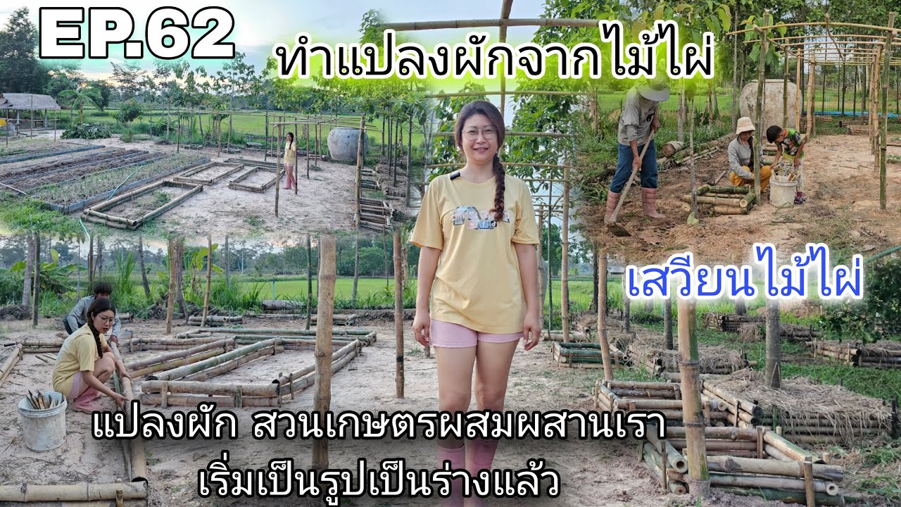 Ep.62 ทำแปลงผักจากไม้ไผ่ สวนเกษตรผสมผสานเริ่มเป็นรูปเป็นร่างแล้ว