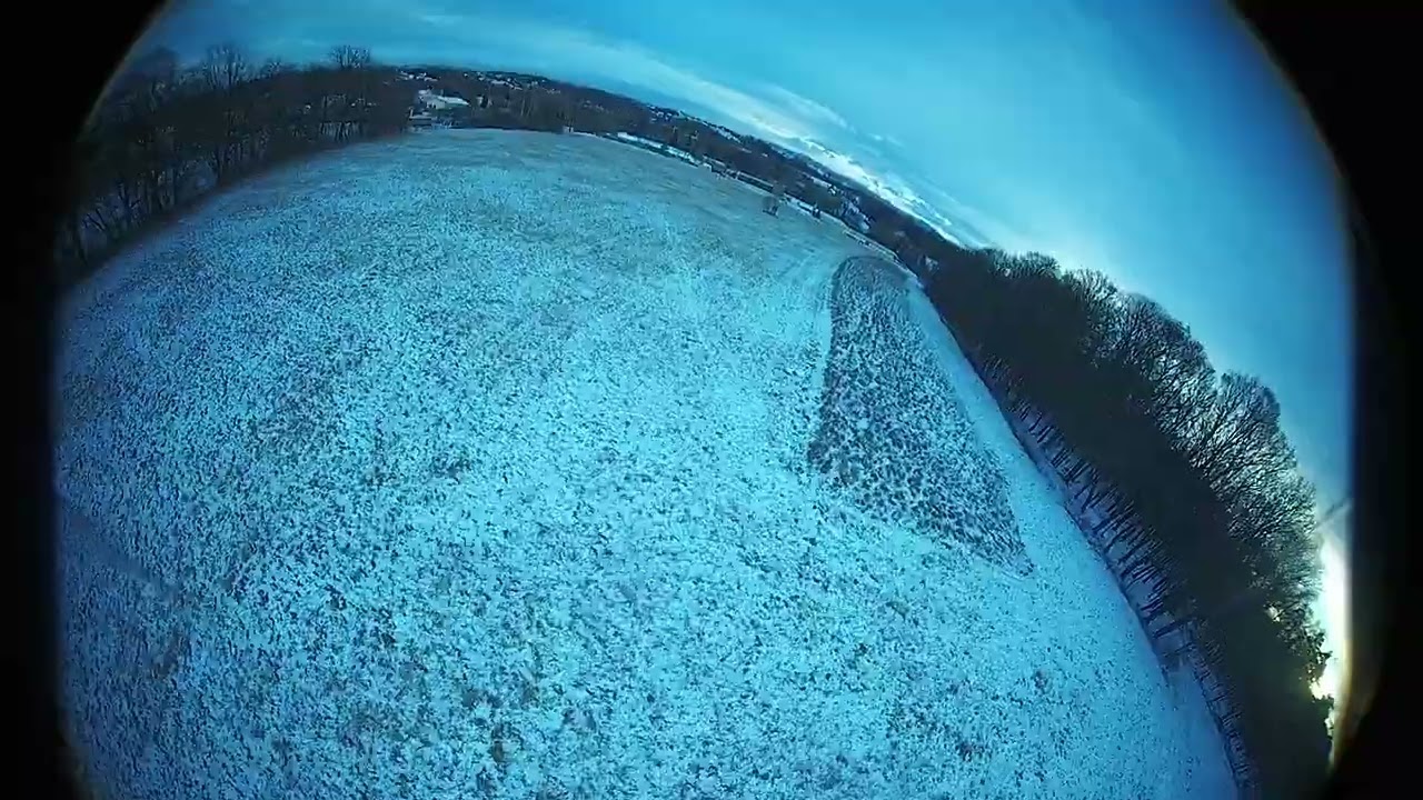 fpv flight in the meadow (without sound)