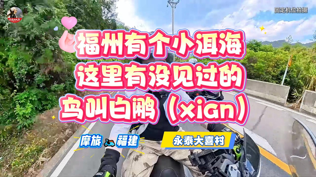 福州有个小洱海 这里有一级水源大喜湖 有国家二级保护鸟类白鹇
