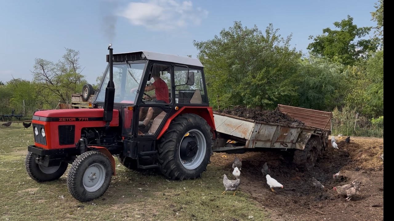 Rozmetanie maštaľného hnoja Zetor 7711