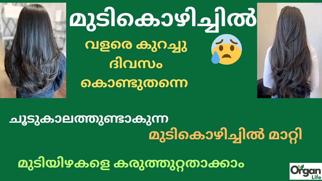 ചൂടുകാലത്തുണ്ടാകുന്ന മുടികൊഴിച്ചിൽ മാറ്റി ,കരുത്തുറ്റ മുടിവളർച്ച ഉണ്ടാക്കാൻ |ORGANLIFE