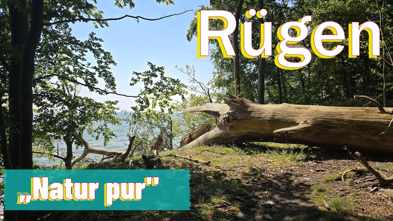 Top Ausflugsziel, Exkursion zur Insel Vilm vom Hafen Lauterbach auf Rügen