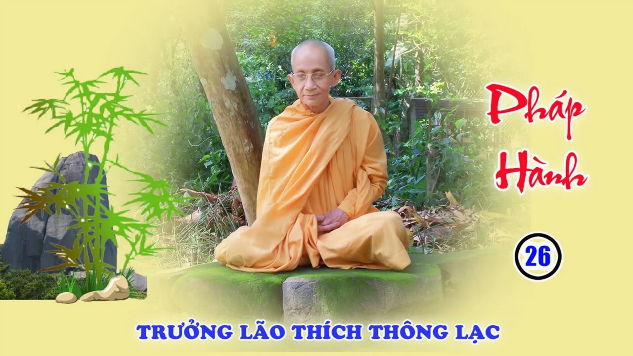 Pháp Hành 26 - 31: Nương Hơi Thở Nhập Các Định
