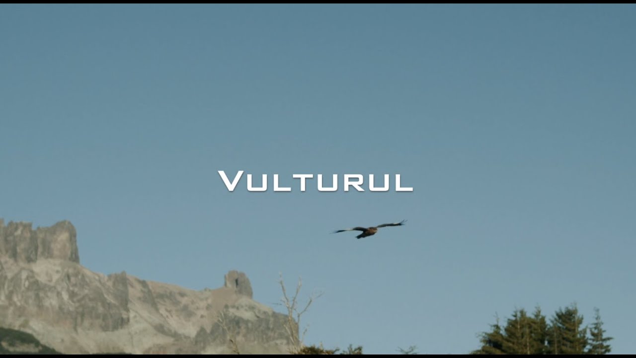 Vulturul-Angela Stănilă (NOU)