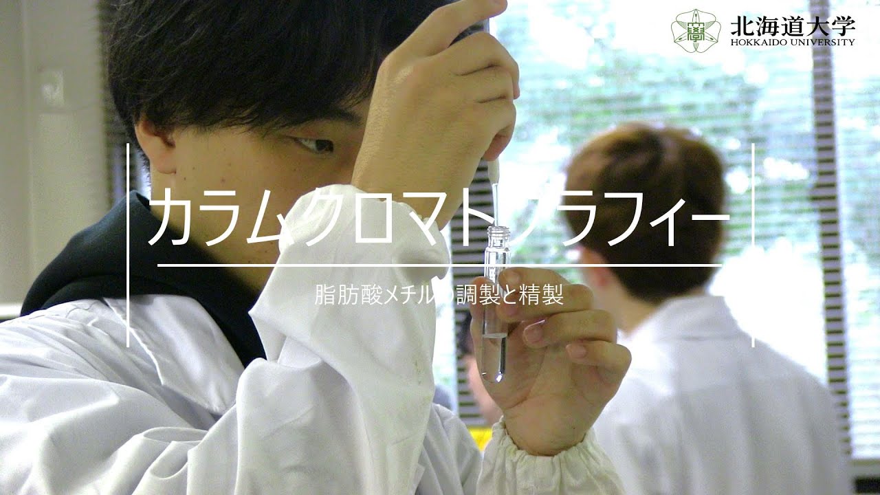 カラムクロマトグラフィー~脂肪酸メチルの調製と精製~④