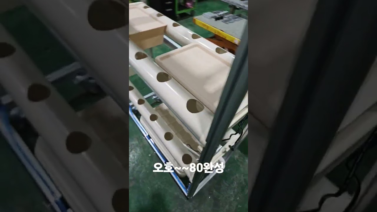 #수경재배기 #자작식물재배#자작#와사비 #상추 #분무수경 #취미 #대파수경재배 #식물재배기