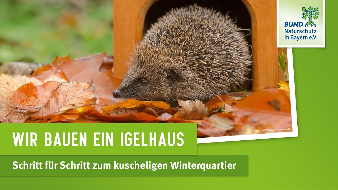 Igelhaus bauen: einfache Anleitung in drei Schritten!
