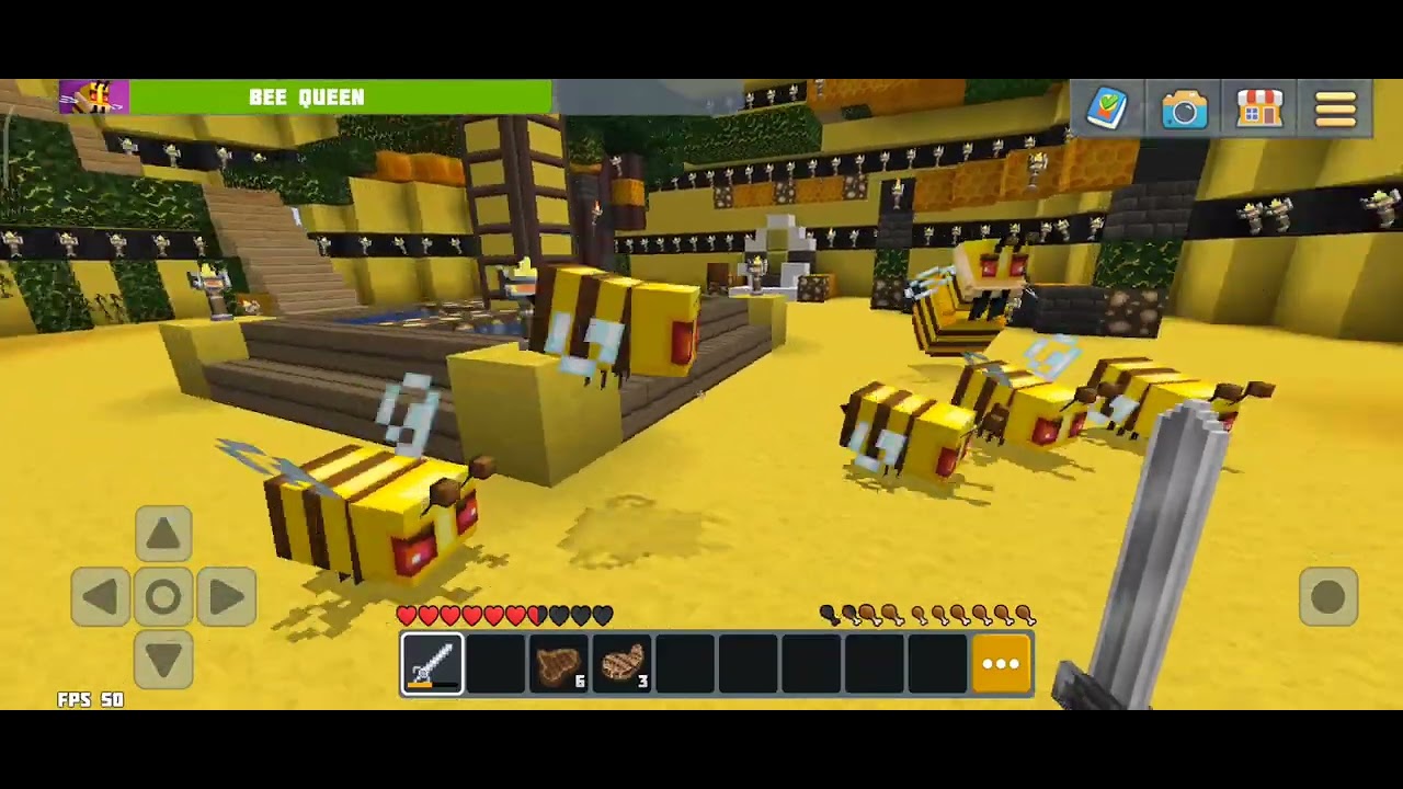 Fight Bee Queen With Using Iron Sword 