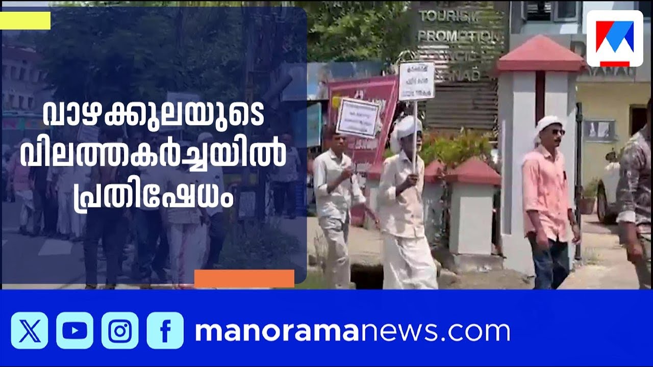 വാഴക്കുലയുടെ വിലത്തകര്‍ച്ചയില്‍ പ്രതിഷേധം; വയനാട്  സിവിൽ സ്റ്റേഷനിലേക്ക് കർഷകമാർച്ച് ​| Wayanad